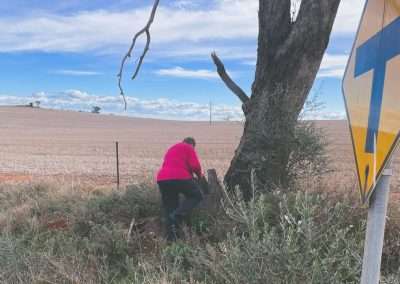 Out The Back Of Berry Jerry Geocaching