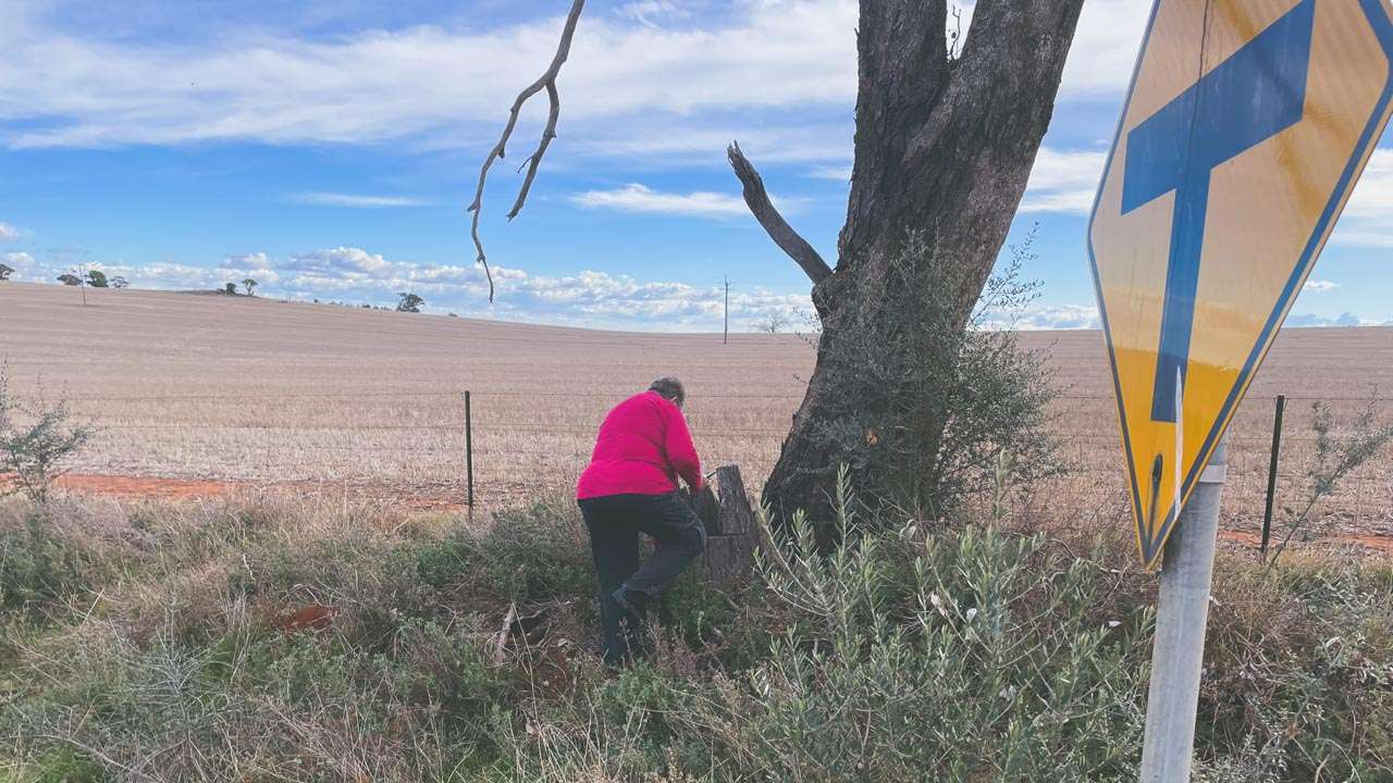 Out The Back Of Berry Jerry Geocaching