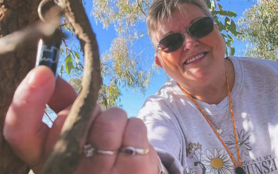 Geocaching Old Junee – Kapooka – Wagga Wagga