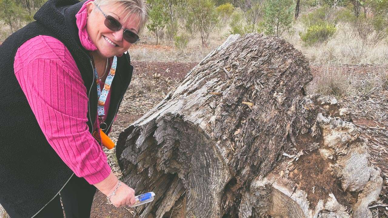 Amanda Found Another Geocache