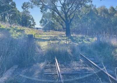 Geocache Found Here Just Out From Galong