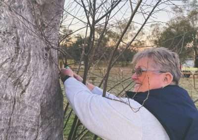 Geocache Old Junee Pioneer Cemetery