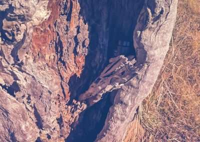 Geocaching In Old Junee