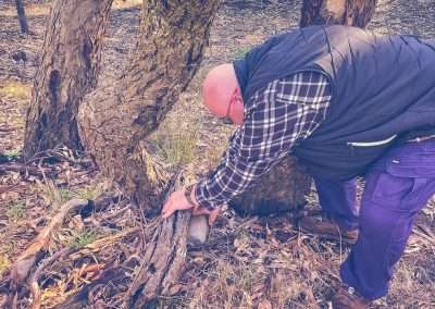 Houlaghans Creek Geocache
