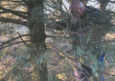 Over Behind The Bus Shelter Near Old Junee