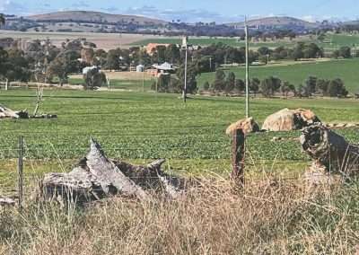 St Clements Church In The Distance