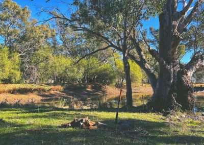 View From Our Caravan At Wentworth Station While Camping Near Grenfell