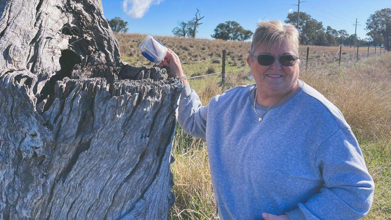 View Of St Clements Geocache