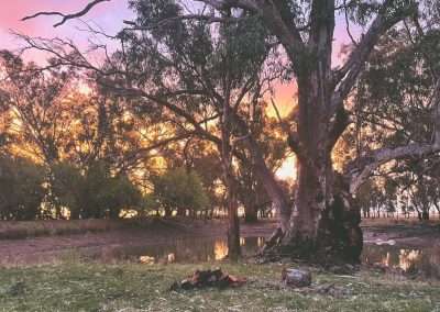 Wentworth Station Ben Hall Creek Camp Sunset