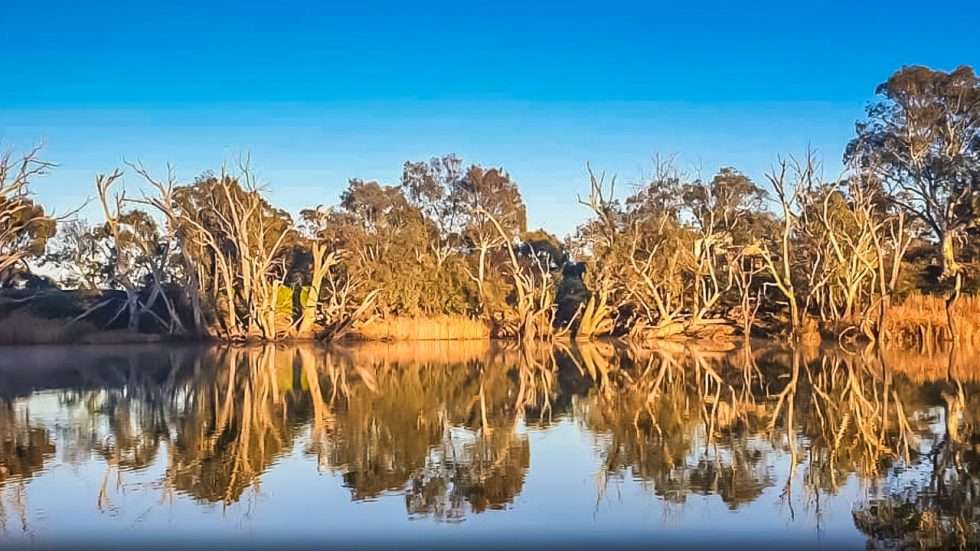 25 Best Camp Sites For Free Camping In Echuca