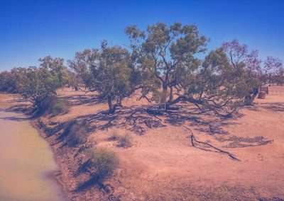 Cooper Creek The Dig Tree Location