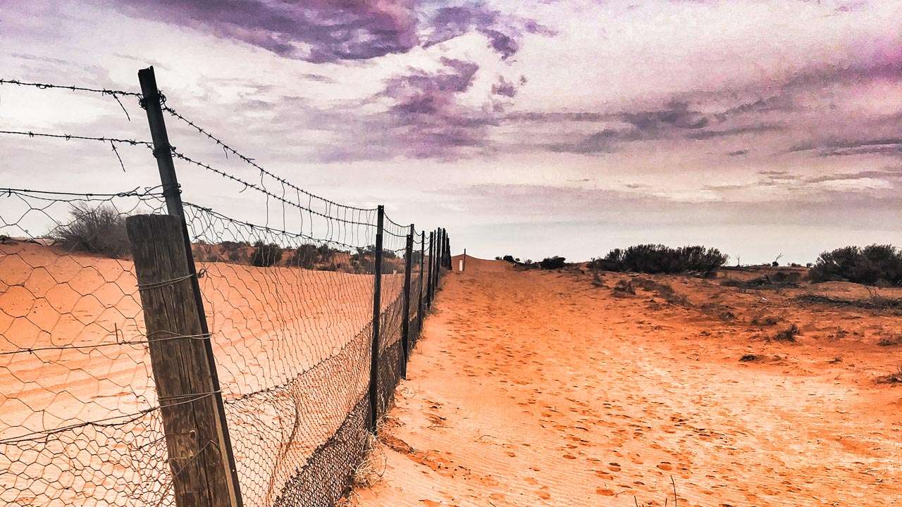 Dingo Fence At Cameron Corner