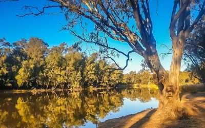 25 Best Camp Sites For Free Camping In Echuca