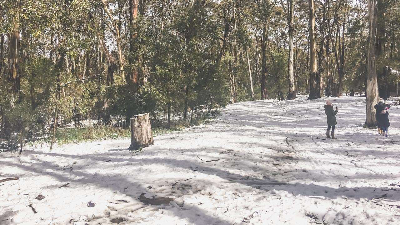 Snow Sydney Australia