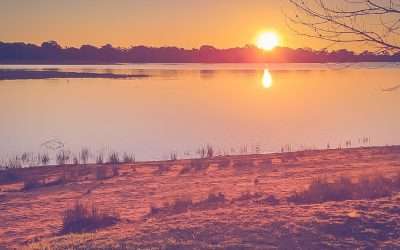 Menindee Lakes Caravan Park: YES – There Are Two!