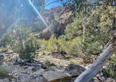 Angkerle Atwatye Dry Creekbed Alongside Walk To The Chasm
