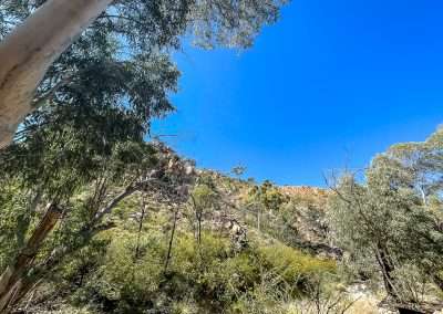 Angkerle Atwatye Ridgeline Seen On Walk