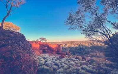 Desert Surf Central – Campsite On The Great Central Road