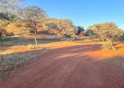 Campsite Desert Central