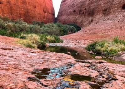 Creek Running Through Walpa Gorge