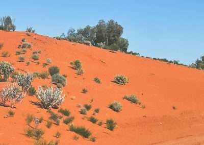 Dunes Alongside the Great Central Road