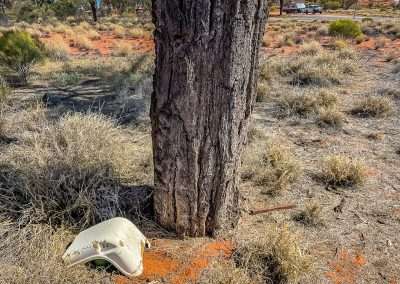 Geocache Found Across The Road From The Pines Rest Area On The Stuart Highway