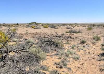 Mound Springs At Strangways