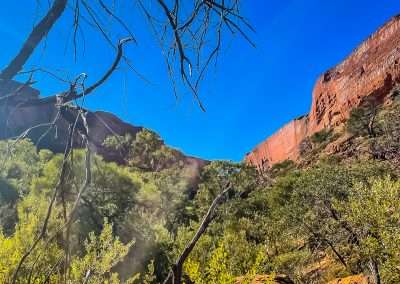 On The Creek Walk At Kings Canyon