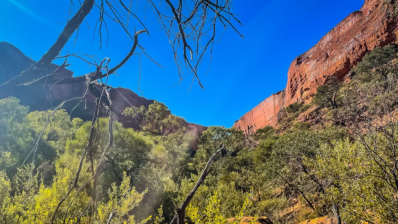 On The Creek Walk At Kings Canyon