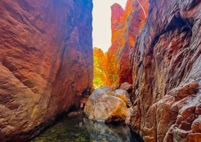 Standley Chasm Waterhole