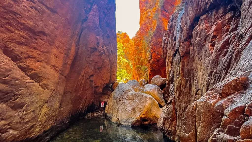 Day Trip To Standley Chasm From Alice Springs