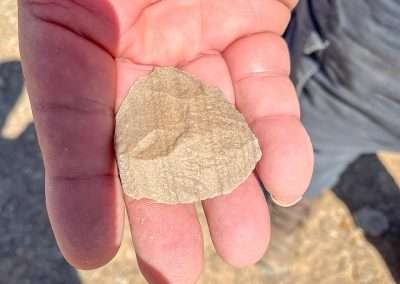 Stone Tool Found At Strangways I Left It Where I found It