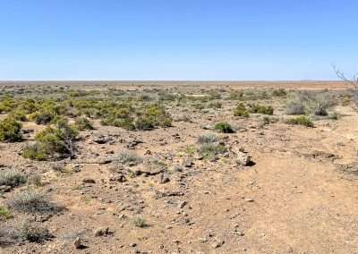 Strangways Rugged Landscape