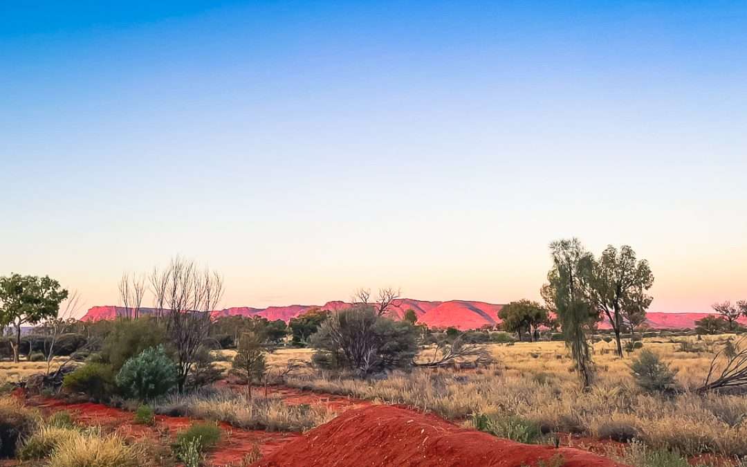 Discovery Resorts Kings Canyon Caravan Park Detailed Review