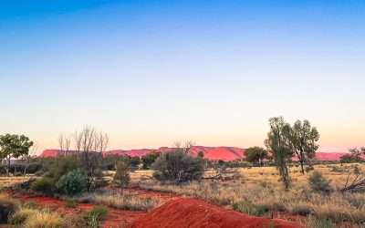 Discovery Resorts Kings Canyon Caravan Park Detailed Review