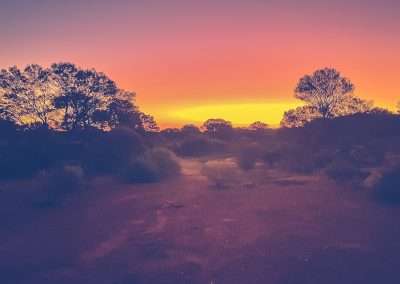 Sunset Views At Surf Central On The Great Central Road