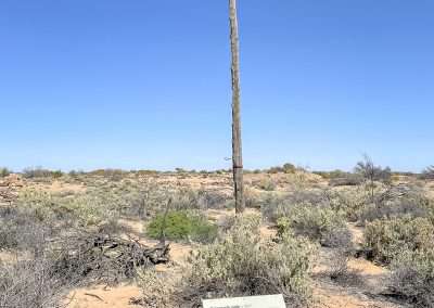 Telegraph Pole At Strangways Telegraph Original Repeater Station