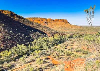 View From Kings Canyon Rim Walk Start Of First Big Climb