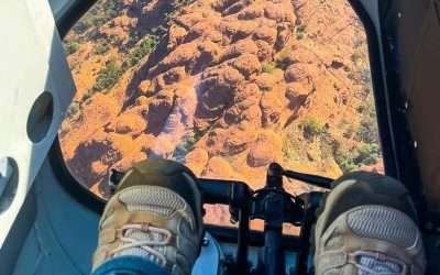 Helicopter Flight Over Kings Canyon: Our Full Review