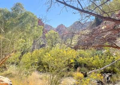 What A View On The Chasm Walk