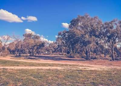 Burke And Wills Camp At Menindee