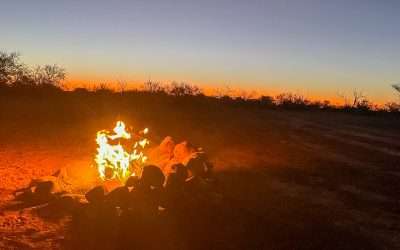 Gregory Creek: Free Camp Site On The Oodnadatta Track