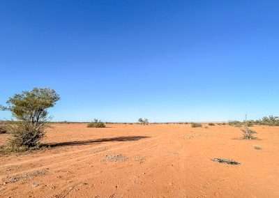 Coongra Creek Campsite Northern Side Of The Oodnadatta Track
