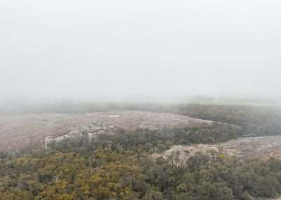 Holt Rock On A Misty Morning