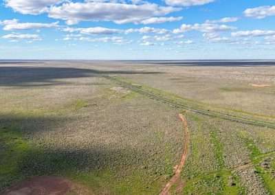 Landscape Near One Tree Hotel NSW