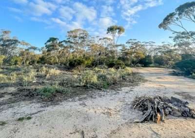 Late Afternoon Camping At Holt Rock