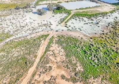 One Tree Hotel Been A Bit Of Rain