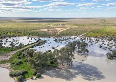 One Tree Hotel Camp Site