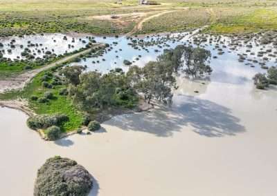 One Tree Hotel Camping Area