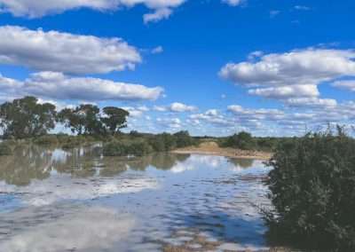 One Tree Hotel Looking Towards The Stock Dam Where We Usually Camp